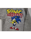Hoodie - Full Zipped, Grey, Printed Sonic 